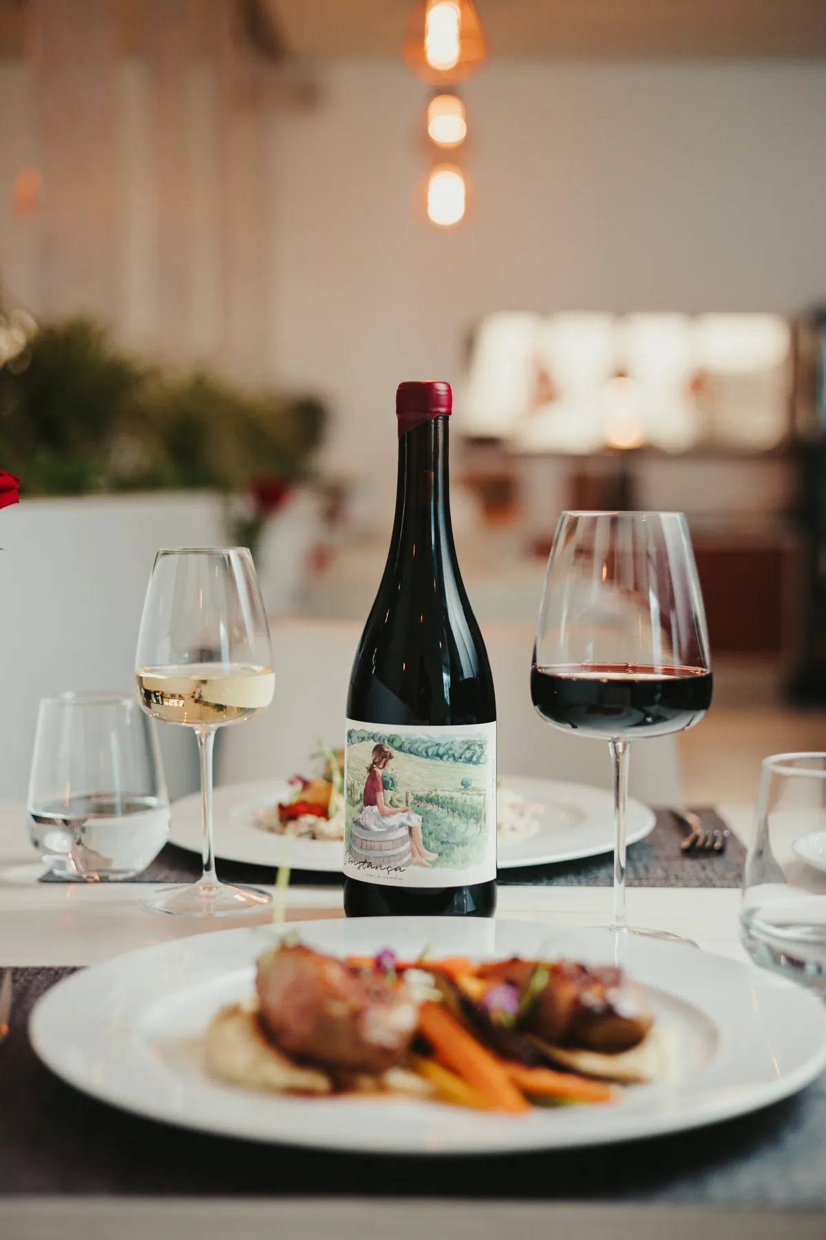 Prato de carne com legumes, com garrafa e copos de vinho na mesa